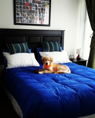 LRomanette's profile picture. Estudiante Universidad de Valparaiso. Auditoria.