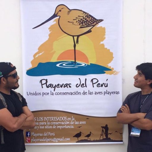 Compartimos información sobre todos los esfuerzos que diversas personas e instituciones realizaron y realizan para proteger a las aves playeras del Perú.