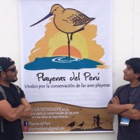 Playeras del Perú(@playerasdelperu) 's Twitter Profile Photo