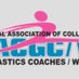 NACGC/W (@nacgc_w) Twitter profile photo NACGC/W (@nacgc_w) Twitter profile photo