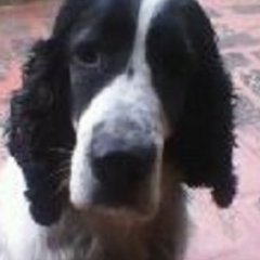 No acceptem el deute amb Madrid, fruit de l'incompliment del finançament quinquennal estatutari i que no compta el dèficit fiscal. L'autonomia no és obligatòria