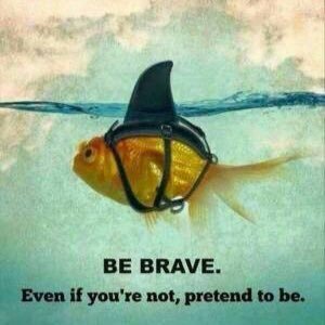 sandfam4's profile picture. 