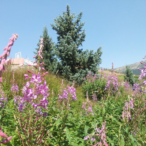 jollyjlw's profile picture. Former educator for Metro Nashville Public Schools for 30 years. Love to read and share a good story.