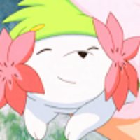 «シェイミ» (@gracideawarrior) 's Twitter Profile