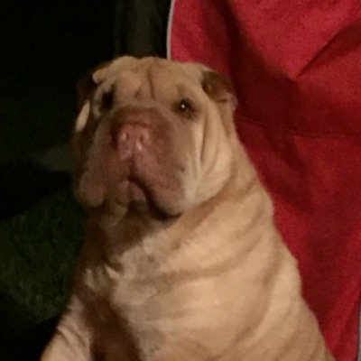 KELlaFRIENDly's profile picture. 