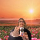 Cyndi Olson Mattison - @CyndiMattison - Twitter