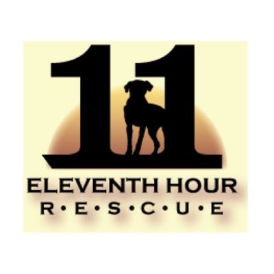 The official 11th Hour Rescue Club Twitter of MTHS! #SAVETHEDOGS #SAVETHECATS #SAVETHEANIMALS