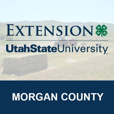 usuext_morgan4h's profile picture. Discover 4-H & Discover Yourself! In 4-H, school-aged children develop life skills through projects, camps, contests, trips, and more.