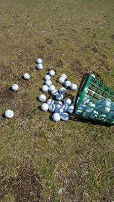 needhelpdfs's profile picture. Duh