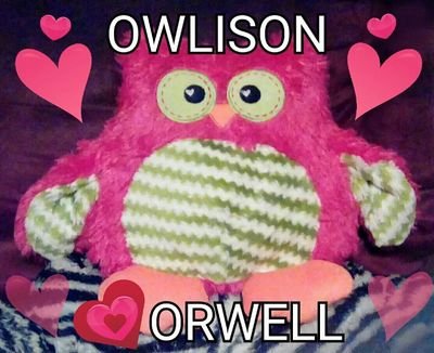 I'm a pink owl! I like 2 hang out w/ @BABWPrincess, @PrettyChloeness, my baby sister Owlivia, & some fetch stuffed animals! I have a major crush on @BBADOrwell!