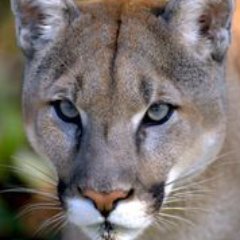 Math_CorkES's profile picture. Math at Cork Elementary School