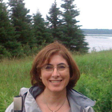 SueMayerNH Profile Picture