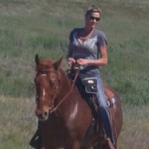 ~Proud Mother, Grandmother, 
  and Daughter
🇺🇲 Made in the USA🇺🇲
🐴Love to ride 🐎
#MAGA and again!!!