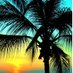 Beach Life Mindset (@beachlifemind) Twitter profile photo Beach Life Mindset (@beachlifemind) Twitter profile photo