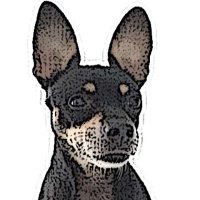 Dov Benjamin (@dov_benjamin) 's Twitter Profile