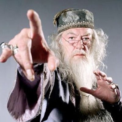 9inchDumbledore's profile picture. My Beard Is My Only Horcrux