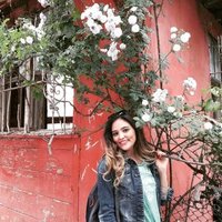BesteDemirören (@bestedemiroren) 's Twitter Profile