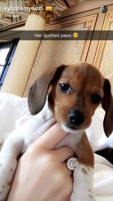 ALost02's profile picture. Living life