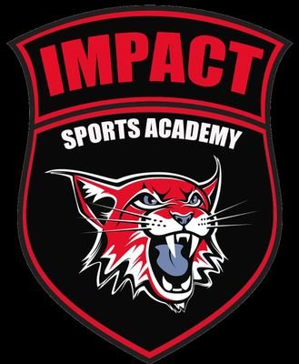 Impact Academy