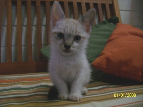 Igor_Gomez's profile picture. 