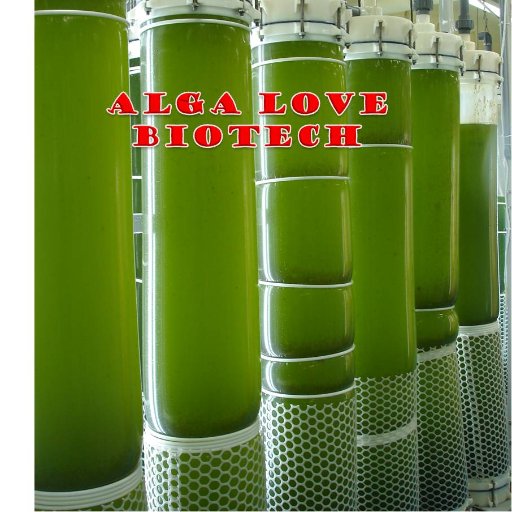 Founder of Alga News Network, Algae Research and production specialist