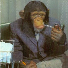 Anonymous at Cardiff University | taking down the mighty one tweet at a time | sometimes funny, always militant.