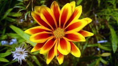 leedsbeerdoctor's profile picture. I identify as a donkey, my pro-nouns are he/haw
triple H,  honest, humorous,  hunk,  well 2 outta 3,