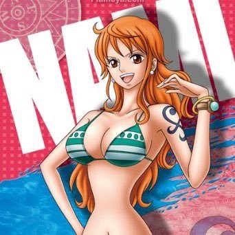 Oi! I'm Nami! Proud member of the Strawhat Pirates!