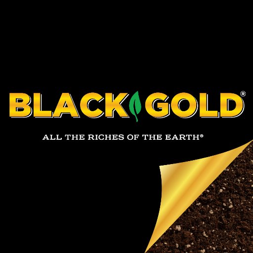 From potting soils to amendments and fertilizers, Black Gold® has everything you need for successful gardening! #BlackGold #SunGro #BlackGoldSoils