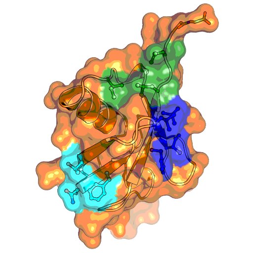 We love #ubiquitin. Lab researching ubiquitination in health and disease @WEHI_research  #science #biochemistry. Posts are by Komander lab members.