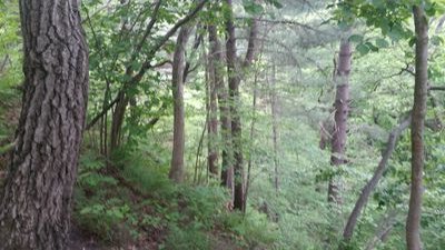 _Excelion555913's profile picture. 