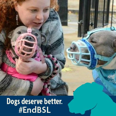 2 help in awareness of the awful law that is BSL (Breed Specific Legislation) pls help get Endbsl, If your dog is seized contact DDA WATCH or Deed not Breed xxx