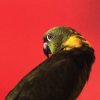 Alex Greenberger (@alexgreenberger) 's Twitter Profile Photo Alex Greenberger (@alexgreenberger) 's Twitter Profile Photo