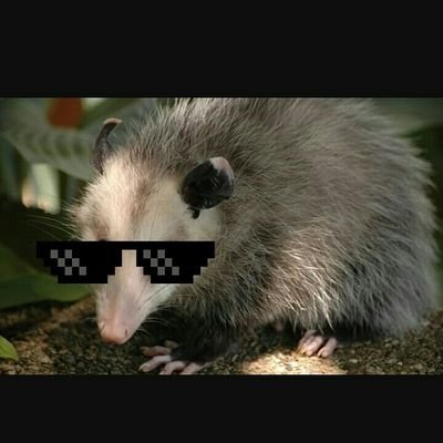 johnmiller8282's profile picture. Gamer asskicker nuff said like and subscribe to BlindOpossum on YouTube