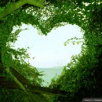 rahul kumar (@call2dumariadd1) 's Twitter Profile