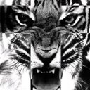 Roberto Casillas - @Roberto39370164 - Twitter