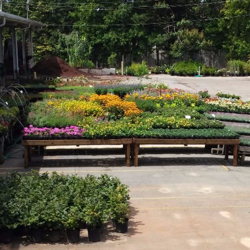 We are NOT open the public. Wholesale to the trade only.
Frank A Smith Nurseries is a landscape plant material grower and re wholesaler in Metro Atlanta