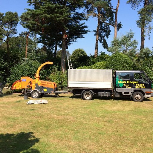 hooperstreecare's profile picture. We offer a wide range of tree care services from planting, pruning and pollarding right through to felling, stump removal and disposal of all waste.