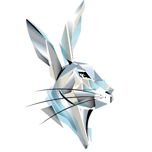 Official twitter feed of the Rabbit Consulting Group.