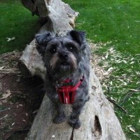 Tracy Cassar Senior Workforce Sister PHU (@tracycassar12) 's Twitter Profile