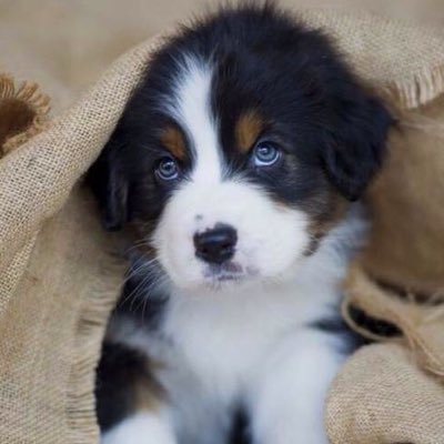 patm_cure's profile picture. PATM歴10年以上。都内在住。