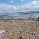 Lynda David - @whyshouldi546 - Twitter