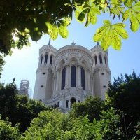 TOUT sur Lyon ! (@infoactus_lyon) 's Twitter Profile