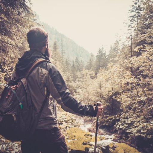 hikingcampguide's profile picture. 