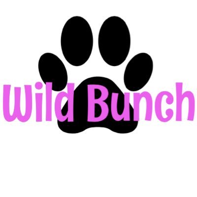 wildbunchchs's profile picture. CHS Wild Bunch 16-17