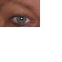 Southern Gal (@southerngals) 's Twitter Profile