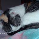 Sam Halliday - @xosmurfettexo - Twitter