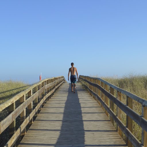 ikeru99's profile picture. 