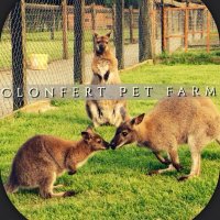 Clonfert Pet Farm (@clonfertpetf) 's Twitter Profile