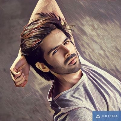 Fanpage who's Dedicated to the Best, Talented, Kind and Superb Cute Actors.
@theaaryankartik